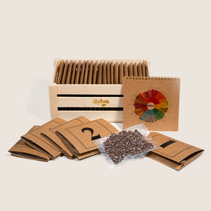 PREORDER!! Kawowy Kalendarz Adwentowy - ziarno - wysyłka po 20.11.2025