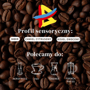 Kolumbia El Renacer Ginger - Złoto Kawa