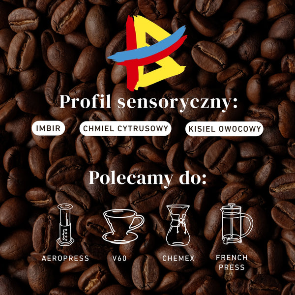 Kolumbia El Renacer Ginger - Złoto Kawa