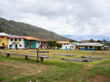 Farma i proces
