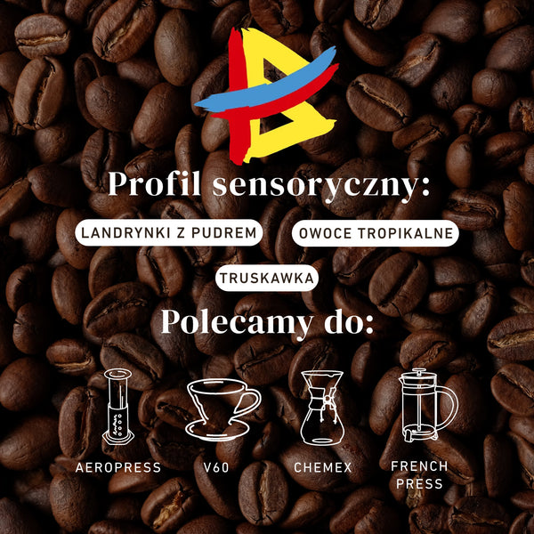 Kolumbia El Renacer Thermal Shock- Złoto Kawa