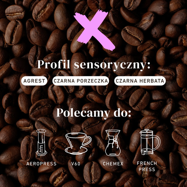 Hario zestaw V60 Craft Coffee Maker x mieszanka na WIOSNĘ (Kawa + drip + serwer + filtry)