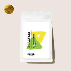 Brazylia Marco Antonio