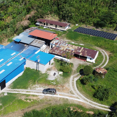EL VERGEL
