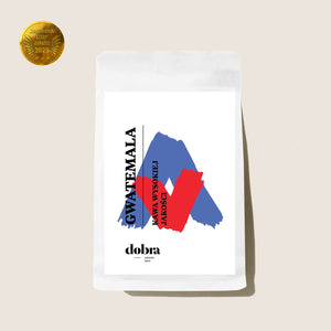 Gwatemala Nuevo Oriente