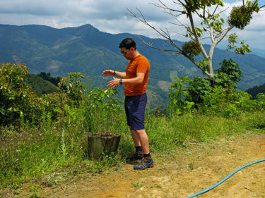 Origenes