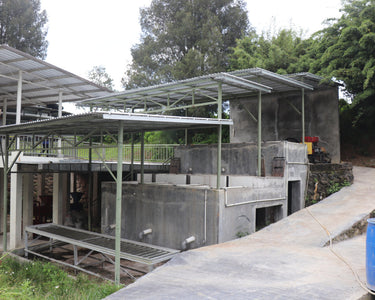 Proces